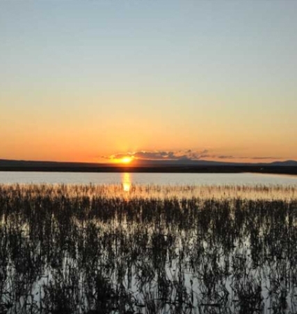 Kuyucuk Gölü (Kuş Cenneti) Ramsar Alanı